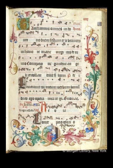 Renaissance Manuscript Masterstrokes A Symphony of Colors and Lines 1