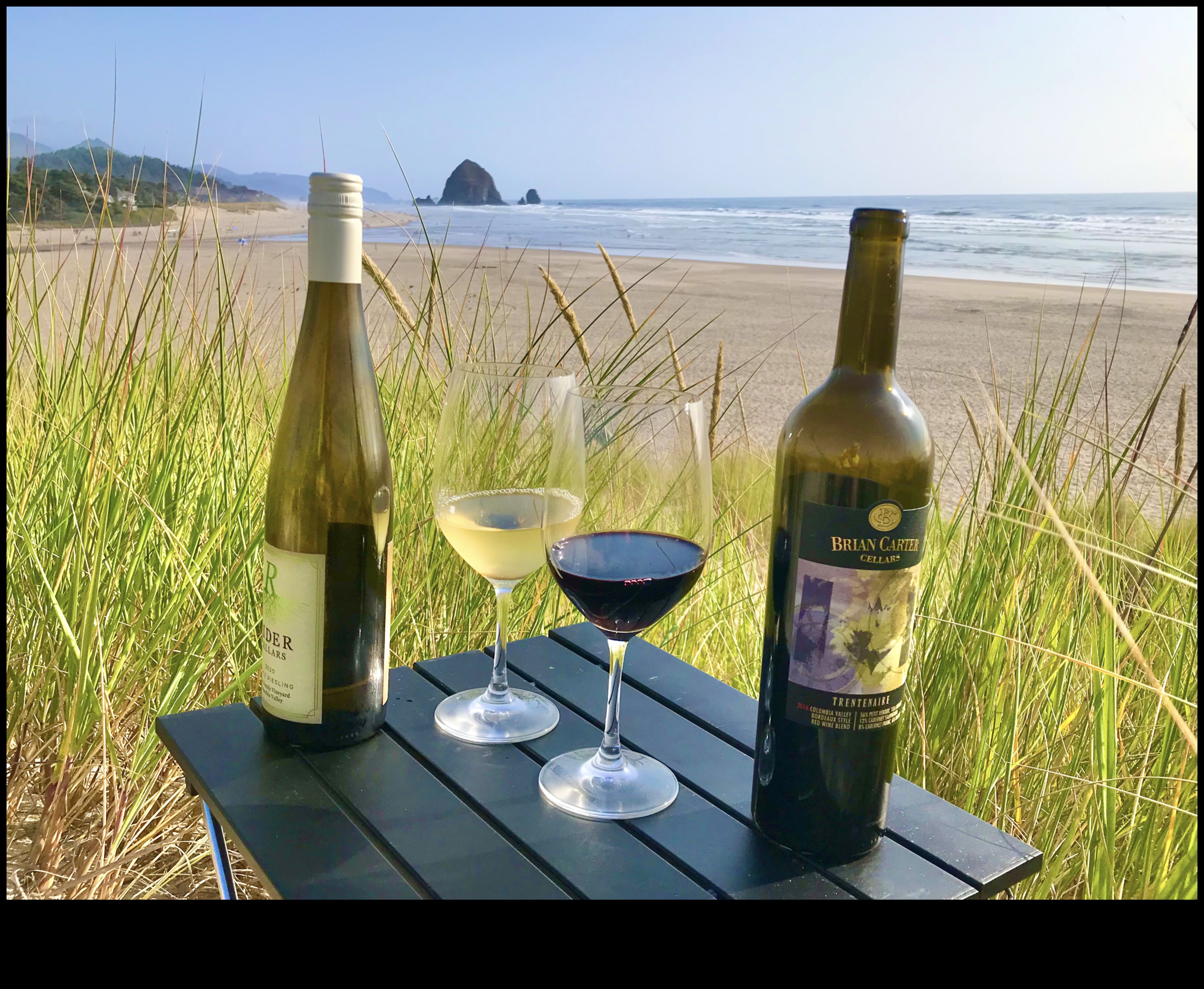 Savor the Vineyards: French Wine and Culinary Mastery