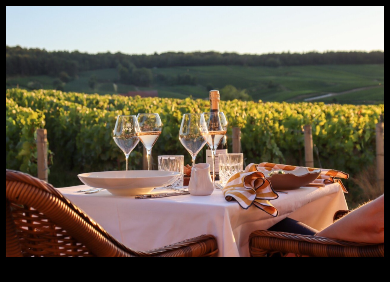 Savor the Vineyards: French Wine and Culinary Mastery