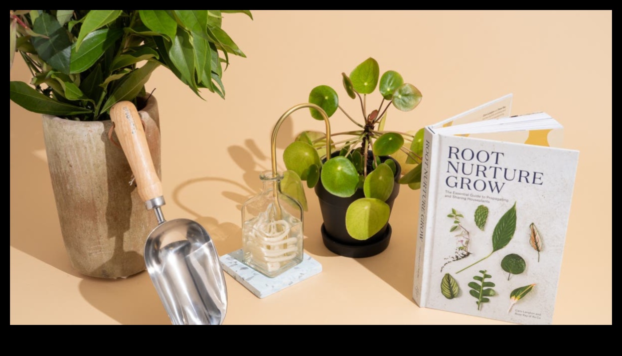 Secret Garden: Botanical and Plant-themed Gifts