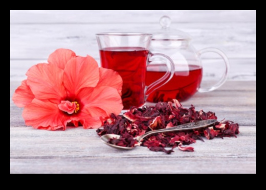 Sip and Blossom A Hibiscus Tea for Body and Mind 1
