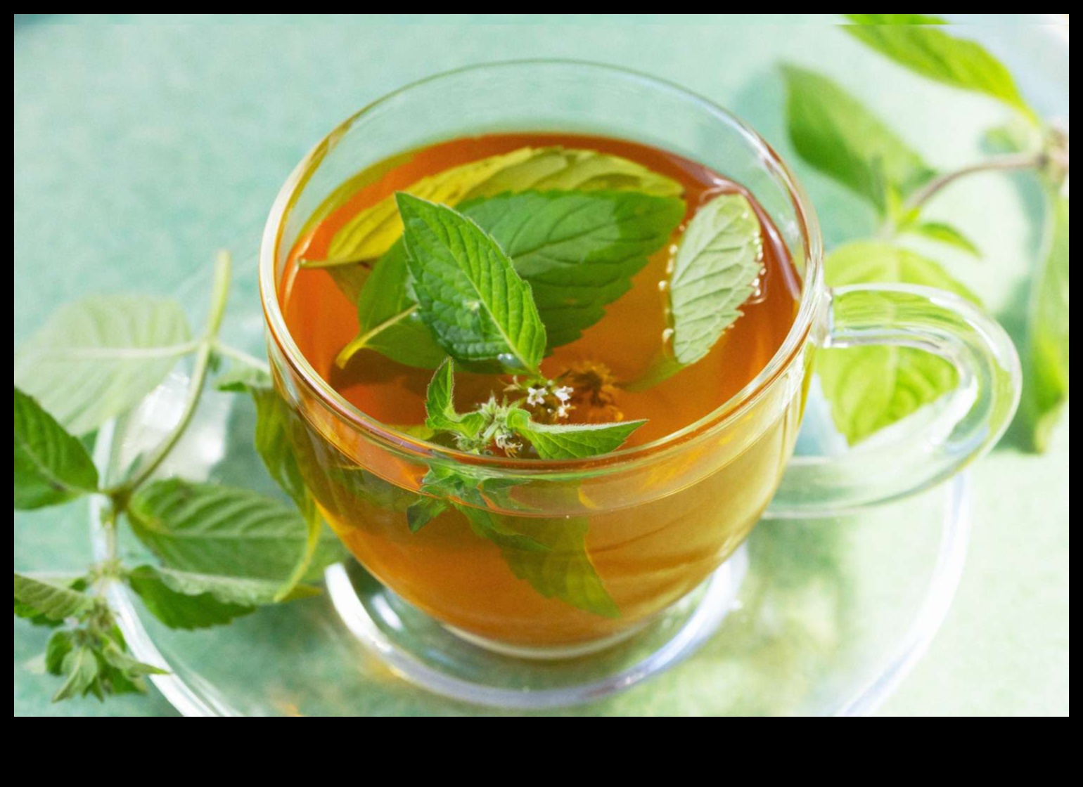 Sip and Savor: Discovering the Richness of Peppermint Tea Flavors
