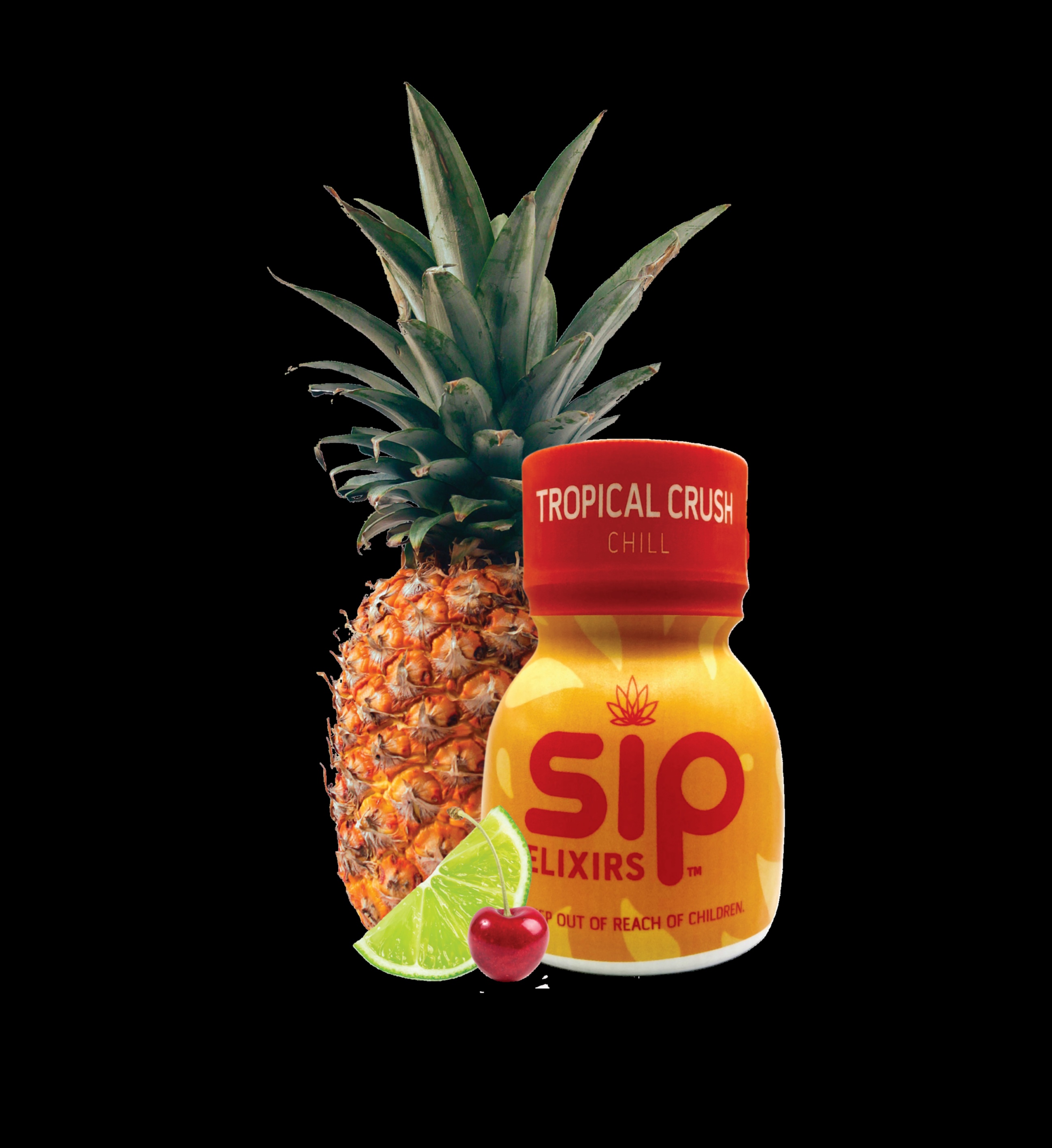 Sip and Thrive: Creating a Healthful Lifestyle with Zesty Elixirs