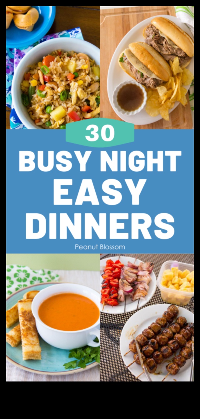 Speedy Suppers: Quick Recipes for On-the-Go Meals