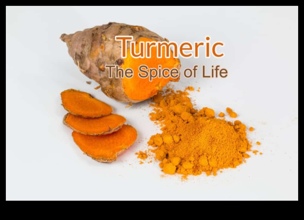 Spice of Life Discover the Elixirs of Turmeric 3 Spice of Life: Exploring the World of Turmeric Elixir Blends