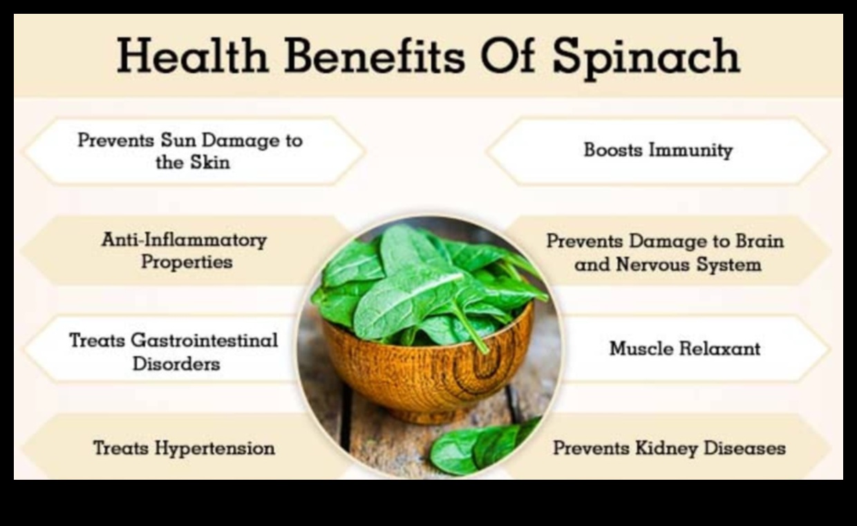 Spinach Sensation A Leafy Green Powerhouse 1 Spinach Sensation: Harnessing the Nutritional Power of Leafy Greens