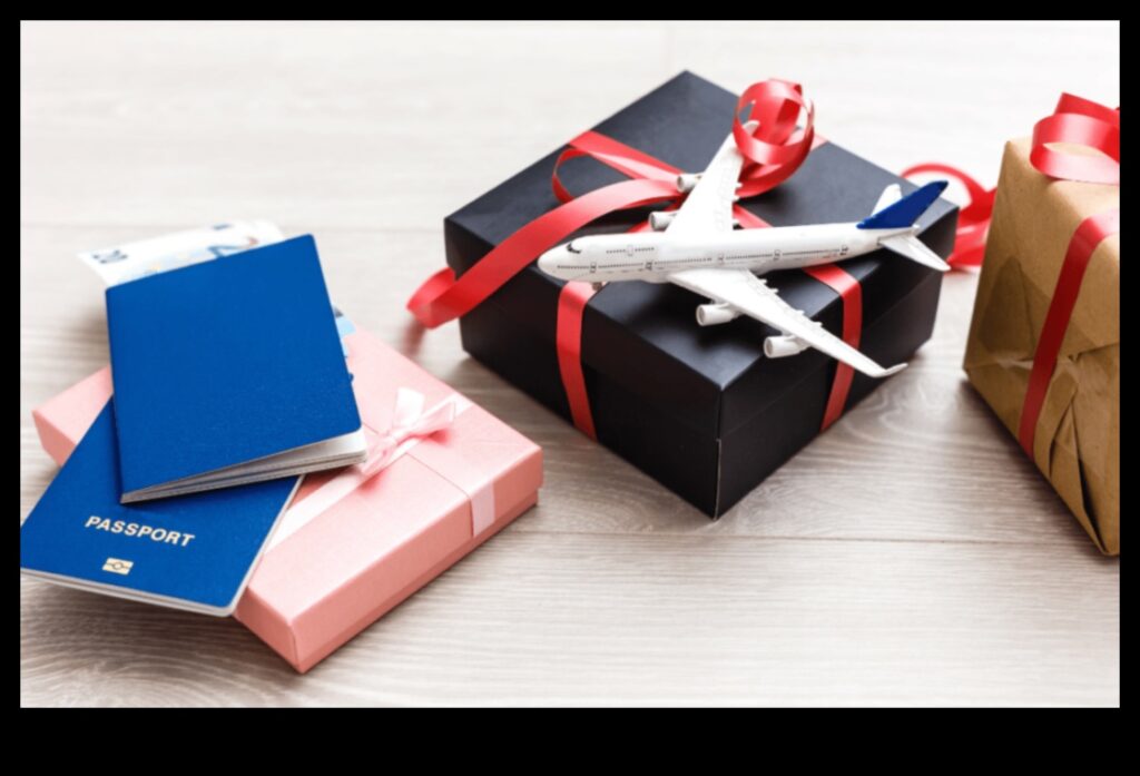 Spirit of Adventure Travel-inspired Gifts for Explorers 1