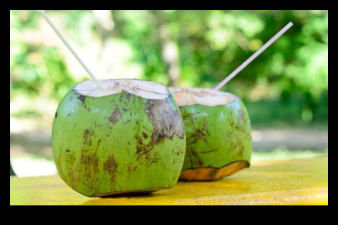 Start Your Day Right with Morning Bliss Pure Coconut Water Sips 1