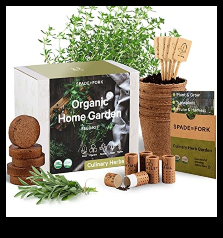 Sustainably Yours: Gifts That Embrace Earth-Friendly Living