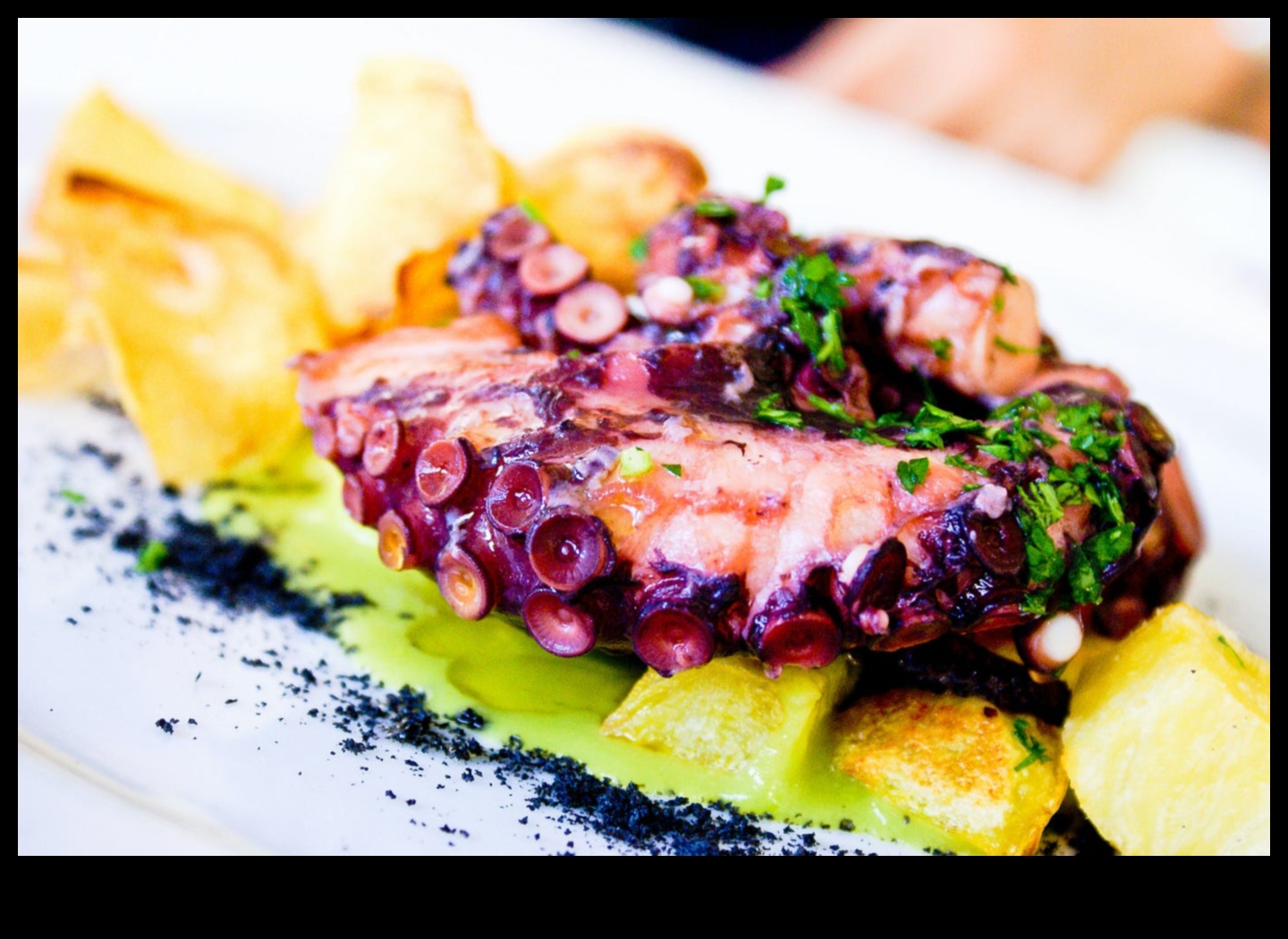 Tantalize Your Taste Buds: Mexican Gastronomic Wonders