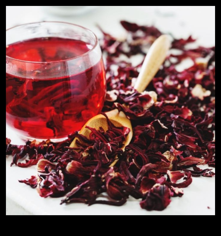 Tart and Tangy: Exploring the Flavorful World of Hibiscus Infusions