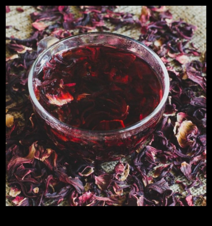 Tart and Tangy: Exploring the Flavorful World of Hibiscus Infusions