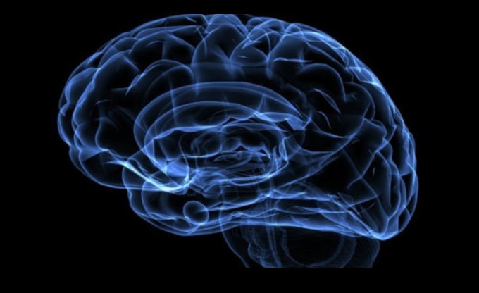 Temporal Strokes: The Dynamic Flow of Time in Ancient Artistry