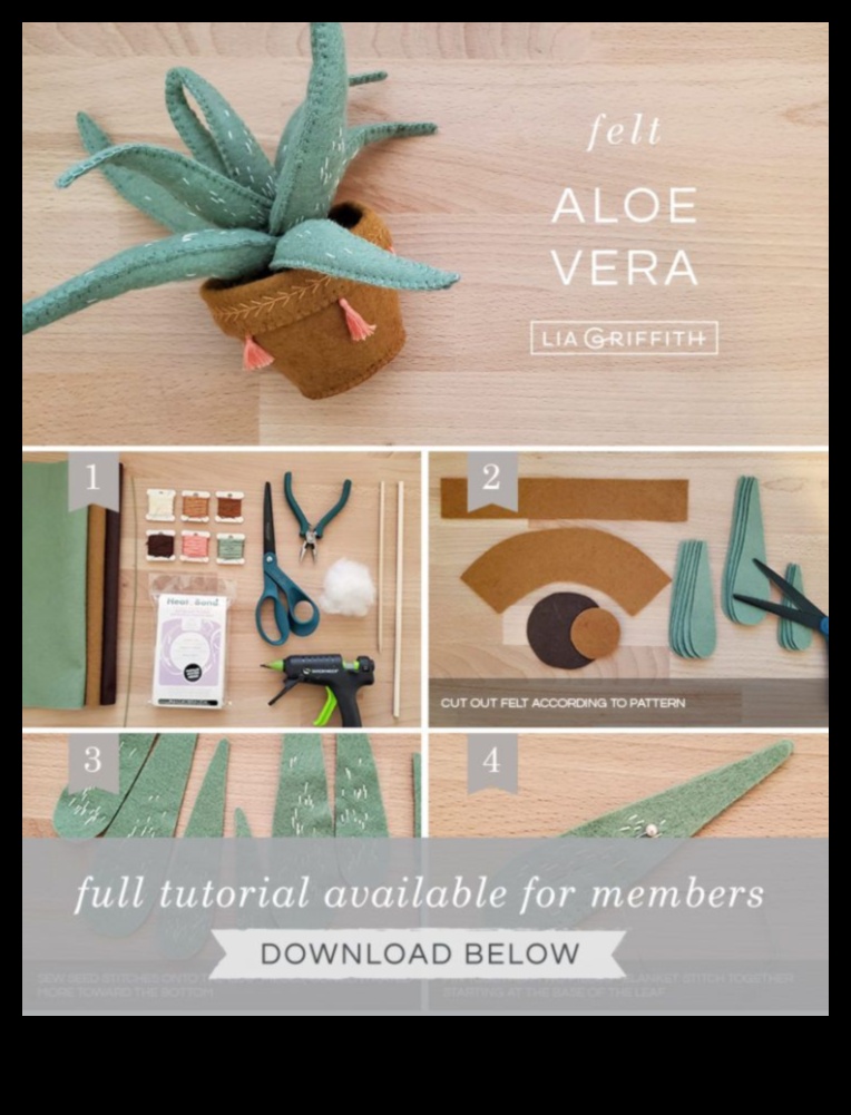 The Art of Aloe Vera Crafting Creative Ways to Use Your Aloe 1