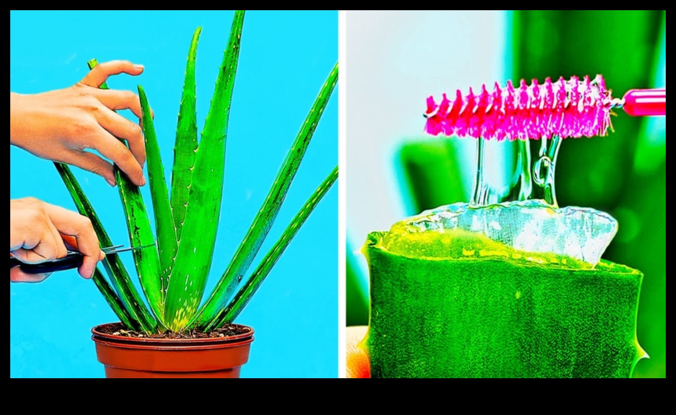 The Art of Aloe Vera Crafting: Tips and Inspirations for Aloe Enthusiasts