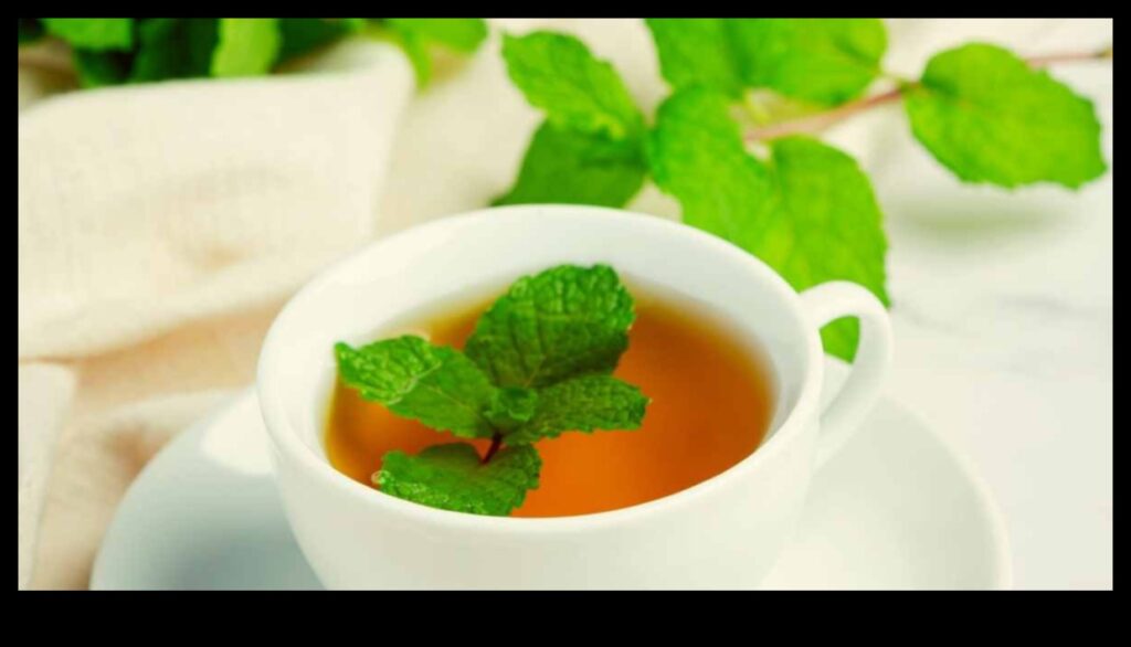 The Cooling Elixir A Guide to the Benefits of Peppermint Tea 1