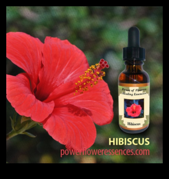 The Floral Essence of Hibiscus Tea A Summertime Sip 1