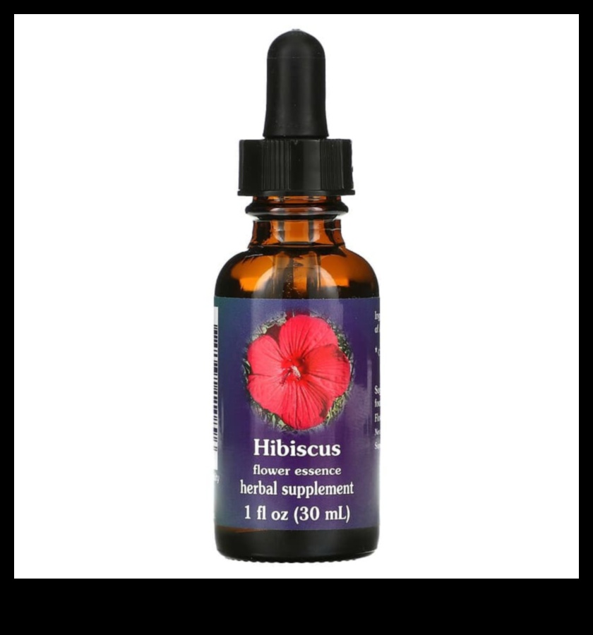 Floral Infusions: Capturing the Essence of Fresh Hibiscus Tea