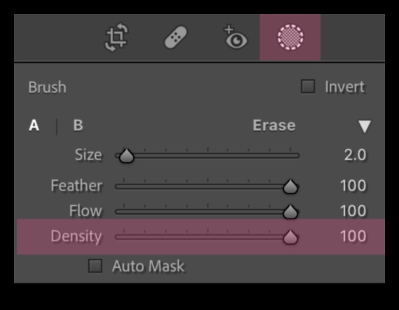 The Impact of Brush Density How Tool Density Affects Your Application 1