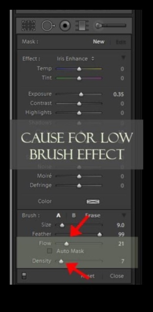 The Impact of Brush Density: Understanding the Role of Tool Density in Application