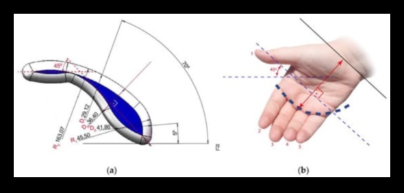 The Impact of Handle Length on Makeup Application An Ergonomics Guide 1