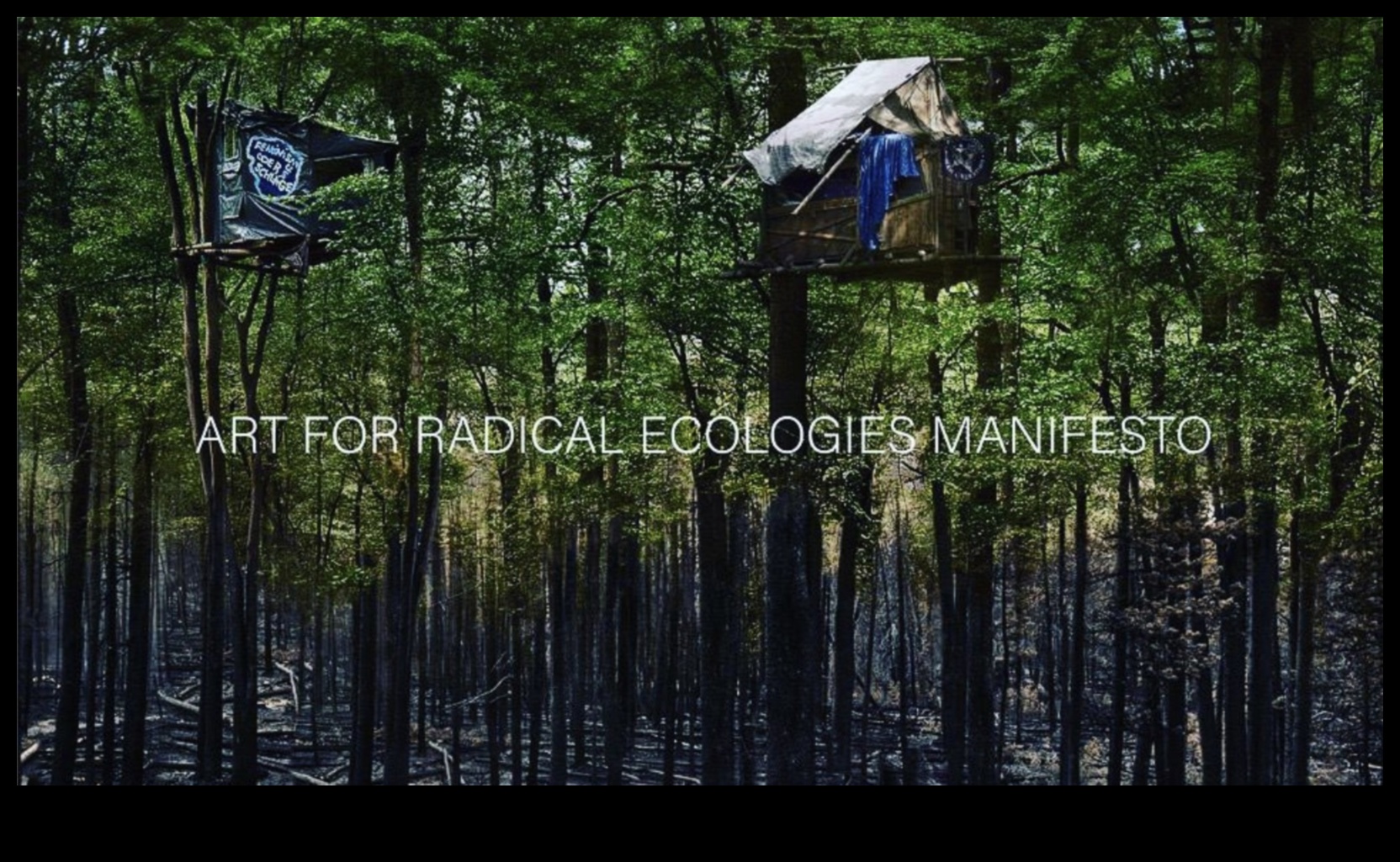 Minimalist Manifesto: Simplifying Form in Modern Art