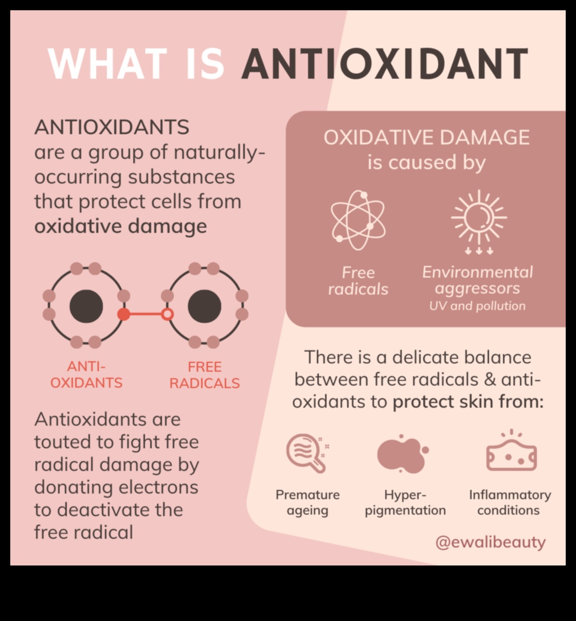 The Role of Antioxidants in Skincare: Protecting Your Skin from Environmental Damage