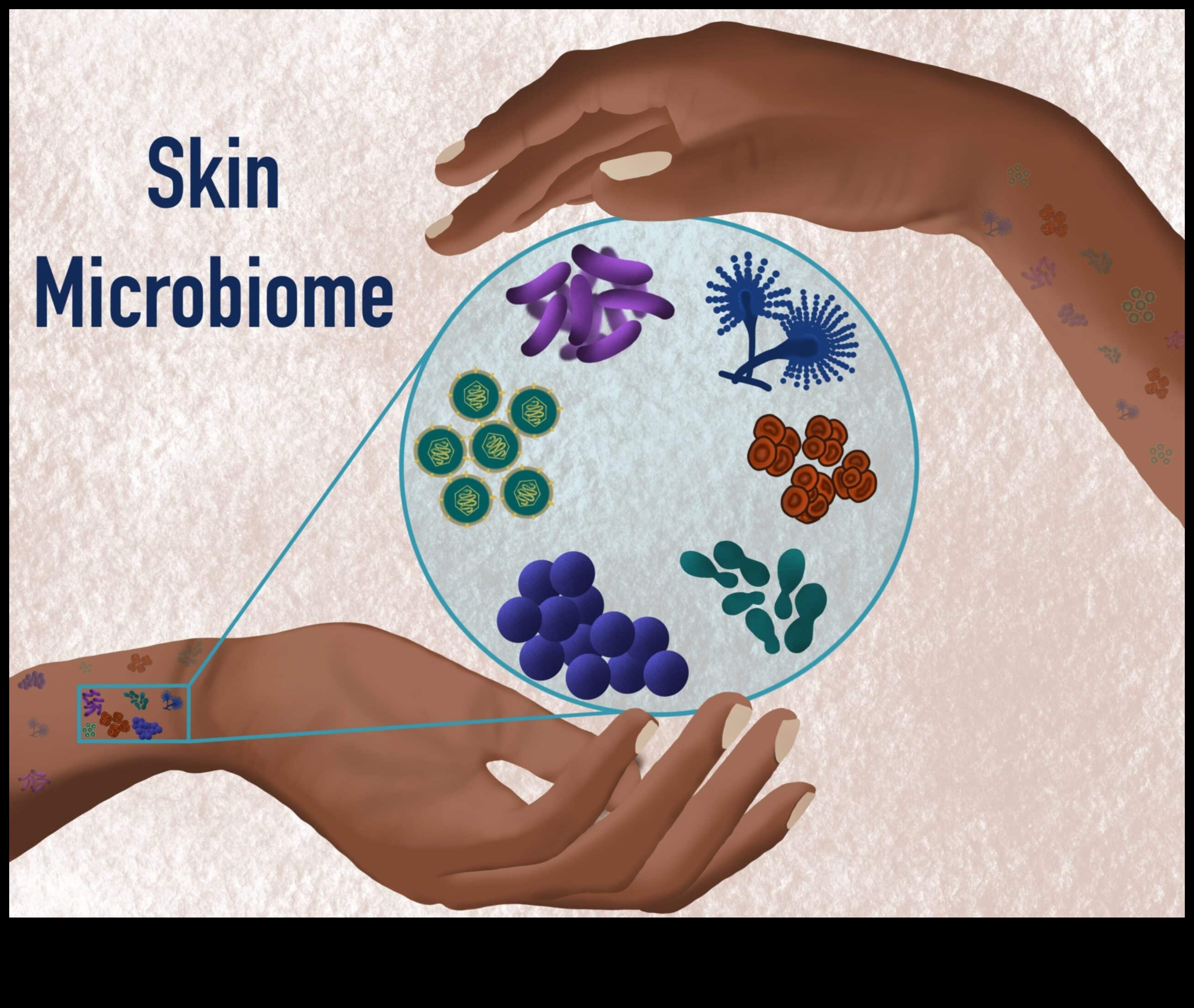 The Role of Probiotics in Skincare: Nurturing Your Skin's Microbiome