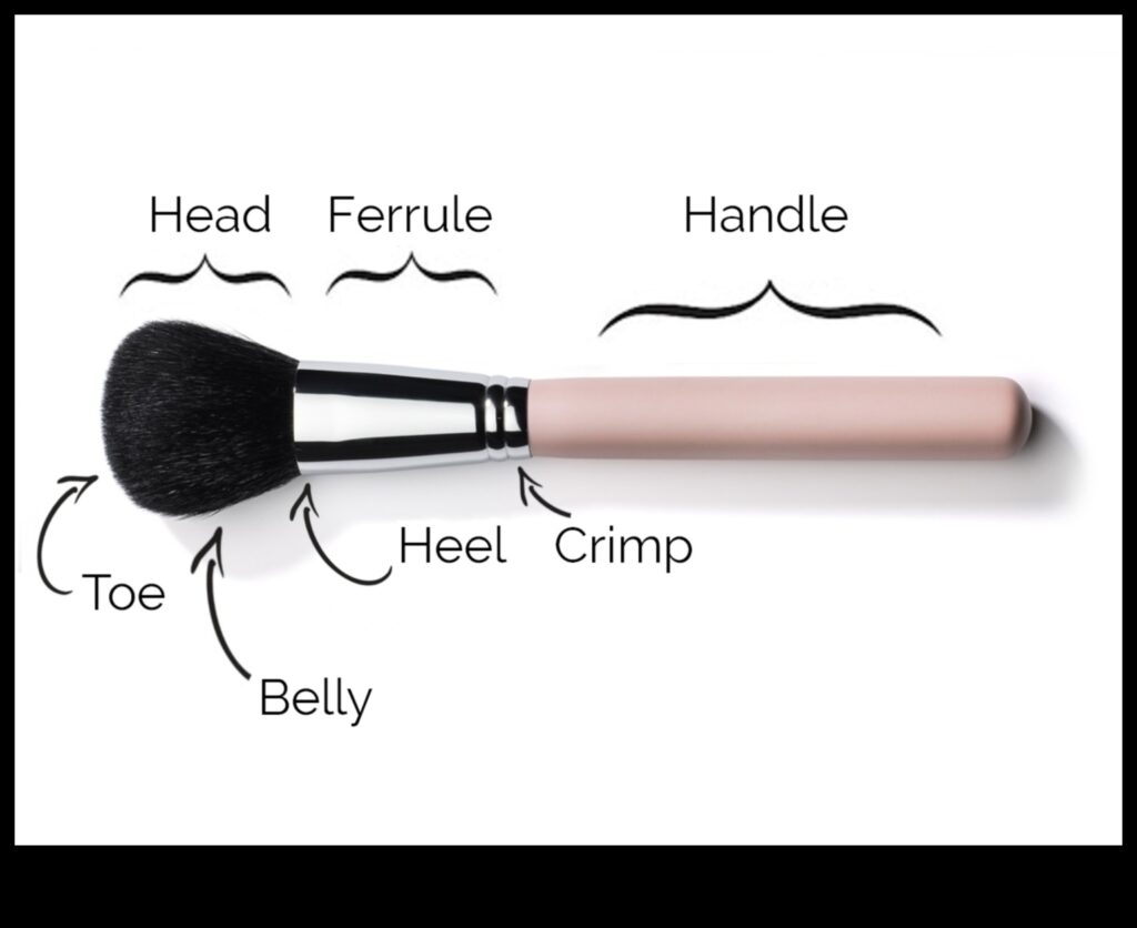 The Science of Brushes Understanding the Anatomy of Quality Makeup Tools 1