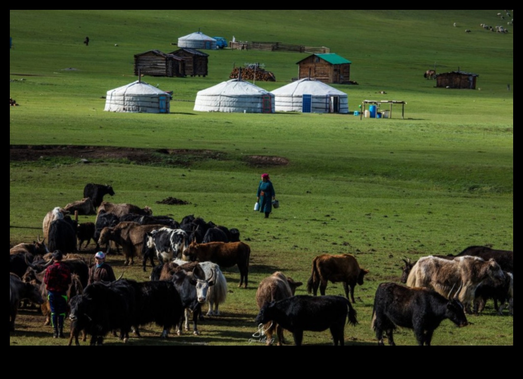 Mongolian Marvels: Nomadic Art and Cultural Heritage
