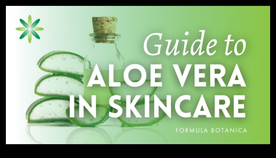 The Ultimate Guide to Aloe Vera Drinks Tips and Tricks for a Healthy Glow 1