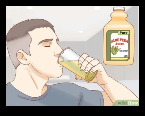 The Ultimate Guide to Aloe Vera Drinks Tips and Tricks for a Healthy Glow 2 The Ultimate Guide to Aloe Vera Drinks: Tips and Tricks for Wellness