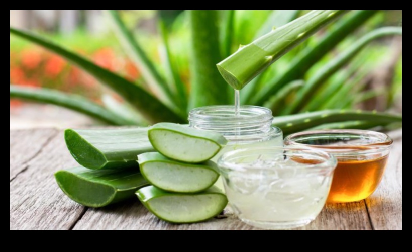 The Ultimate Guide to Aloe Vera Drinks Tips and Tricks for a Healthy Glow 3 The Ultimate Guide to Aloe Vera Drinks: Tips and Tricks for Wellness