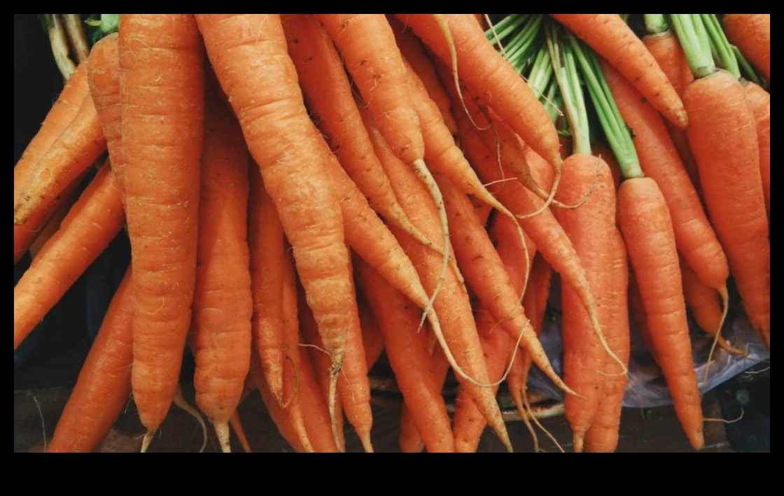The Ultimate Guide to Carrot-Orange Elixirs A Nutrient-Rich Boost for Your Health 2 The Ultimate Guide to Carrot-Orange Elixirs: Nutrient-Rich Goodness in Every Sip