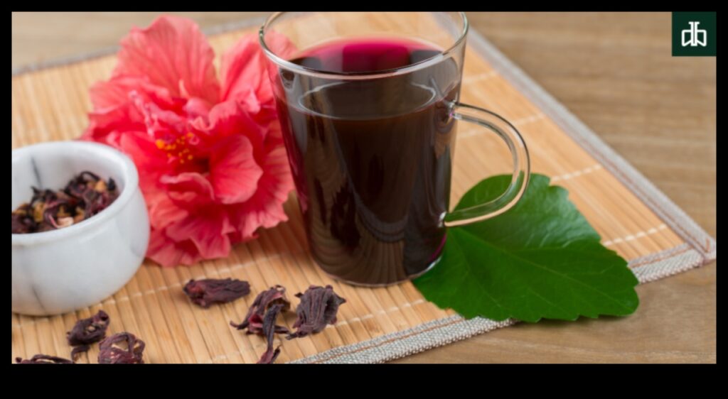 The Vibrant Elixir A Guide to the Health Benefits of Hibiscus Tea 1