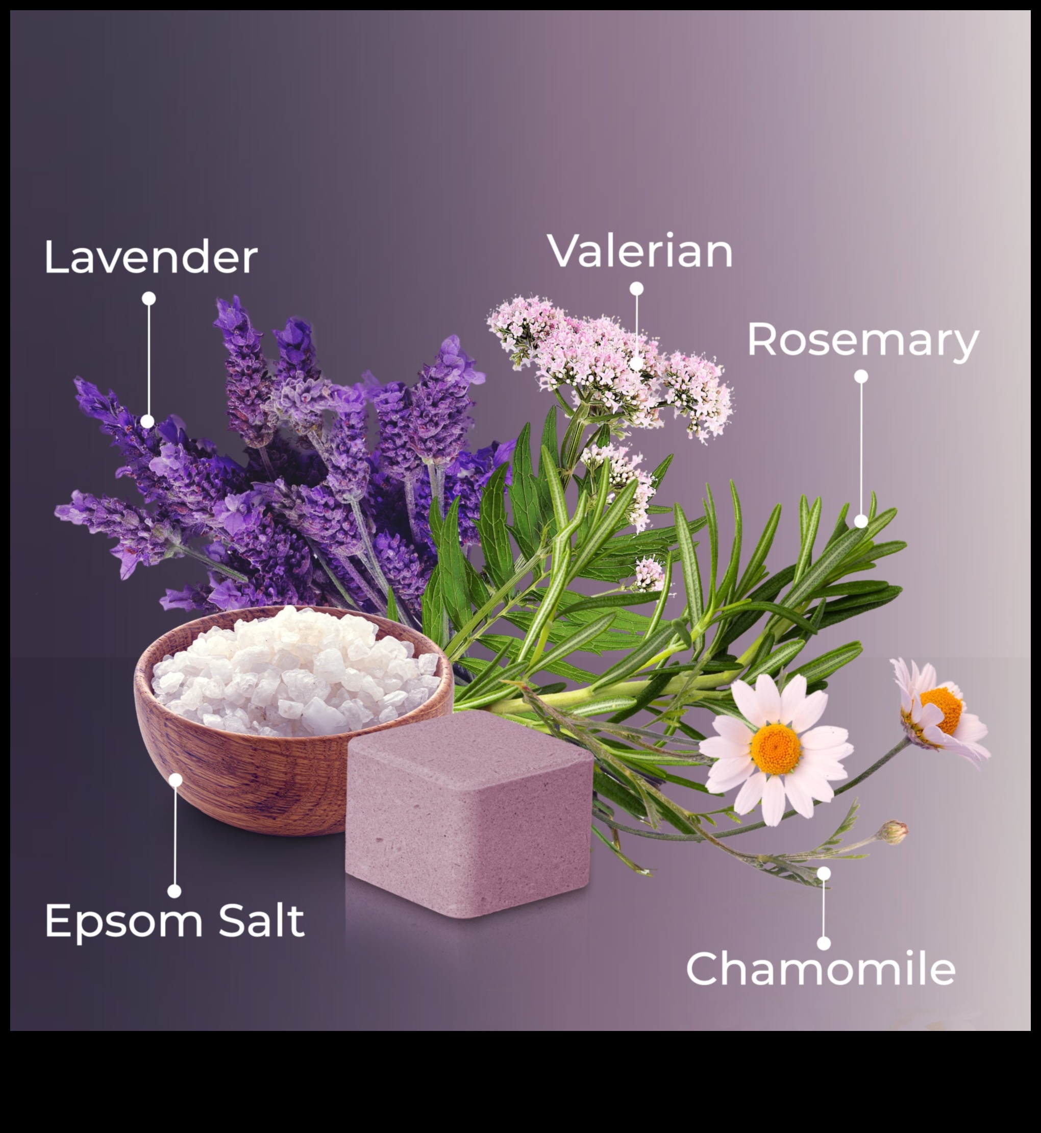 Tranquil Moments: Elevating Your Wellbeing with Chamomile Elixirs