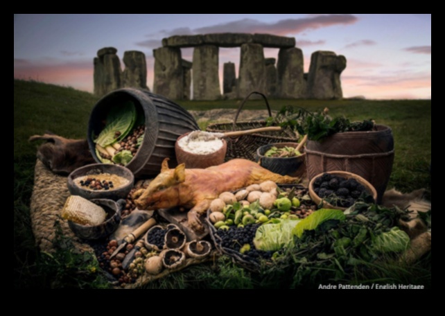 Stone Age Flavors: Unleash Culinary Wonders, Paleo-Style