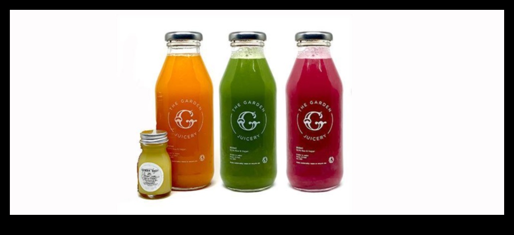 Veggie Garden Bliss: Transforming Your Wellness with Fresh Juices