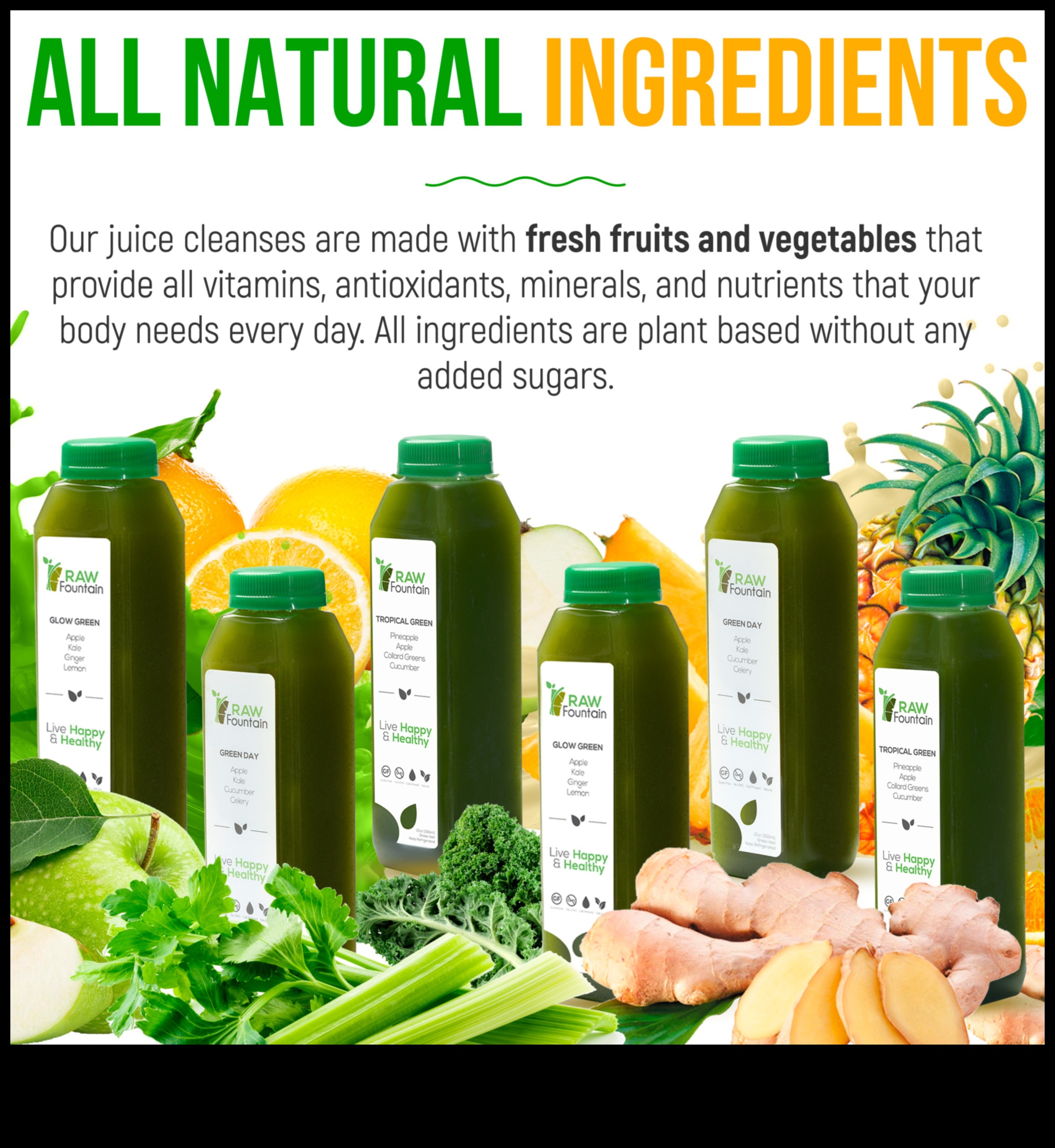 Veggie Garden Bliss: Transforming Your Wellness with Fresh Juices