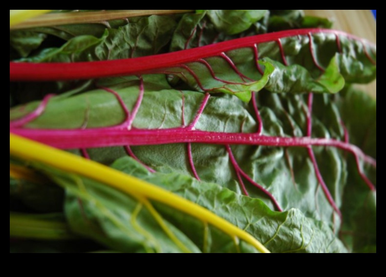 Vibrant Greens: Indulge in Colorful and Nutrient-Dense Smoothie Bowls