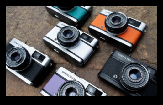 Vintage Visions: A Nostalgic Journey through Photography Styles