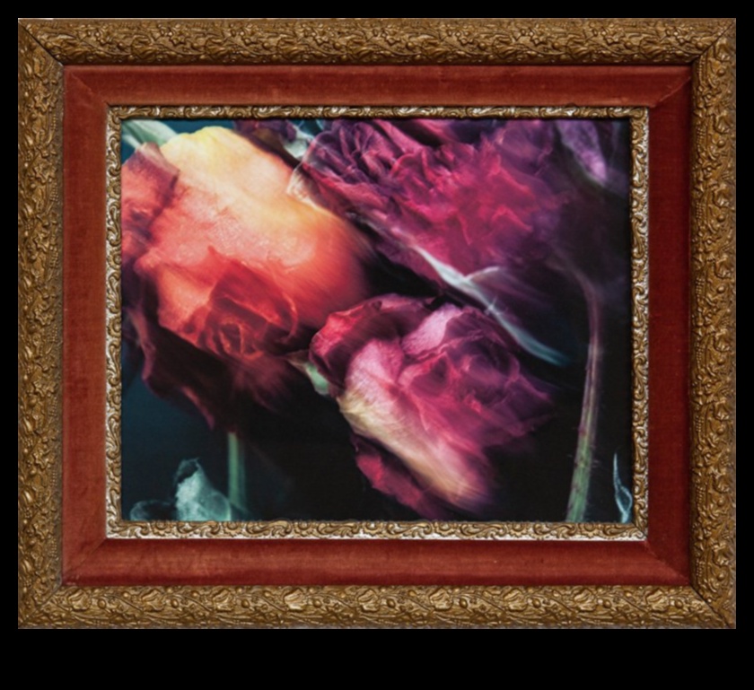 Vintage Visions: A Nostalgic Journey through Photography Styles