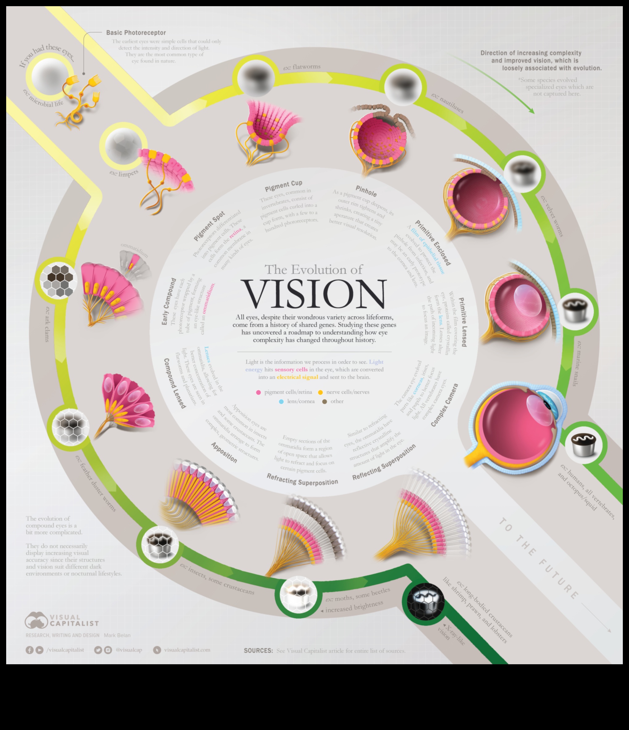 Visual Evolution: Elevating Your Vision through Creative Image Enhancement