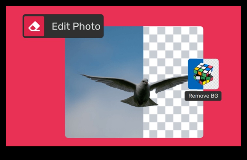 Visual Evolution Elevate Your Vision with Creative Photo Enhancement 5 Visual Evolution: Elevating Your Vision through Creative Photo Enhancement