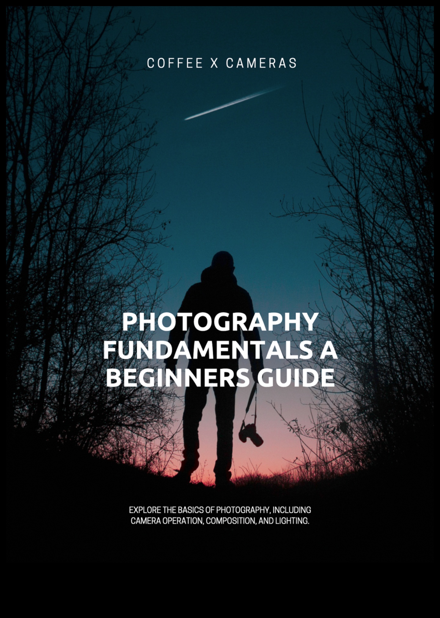 Visual Prowess: Dive into Photography Education for Creative Mastery