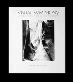 Visual Symphony: Harmonizing Elements for Striking Photo Results