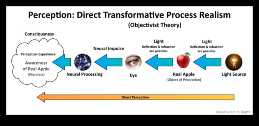 Visual Veracity: Realism's Impact on Viewer Perception