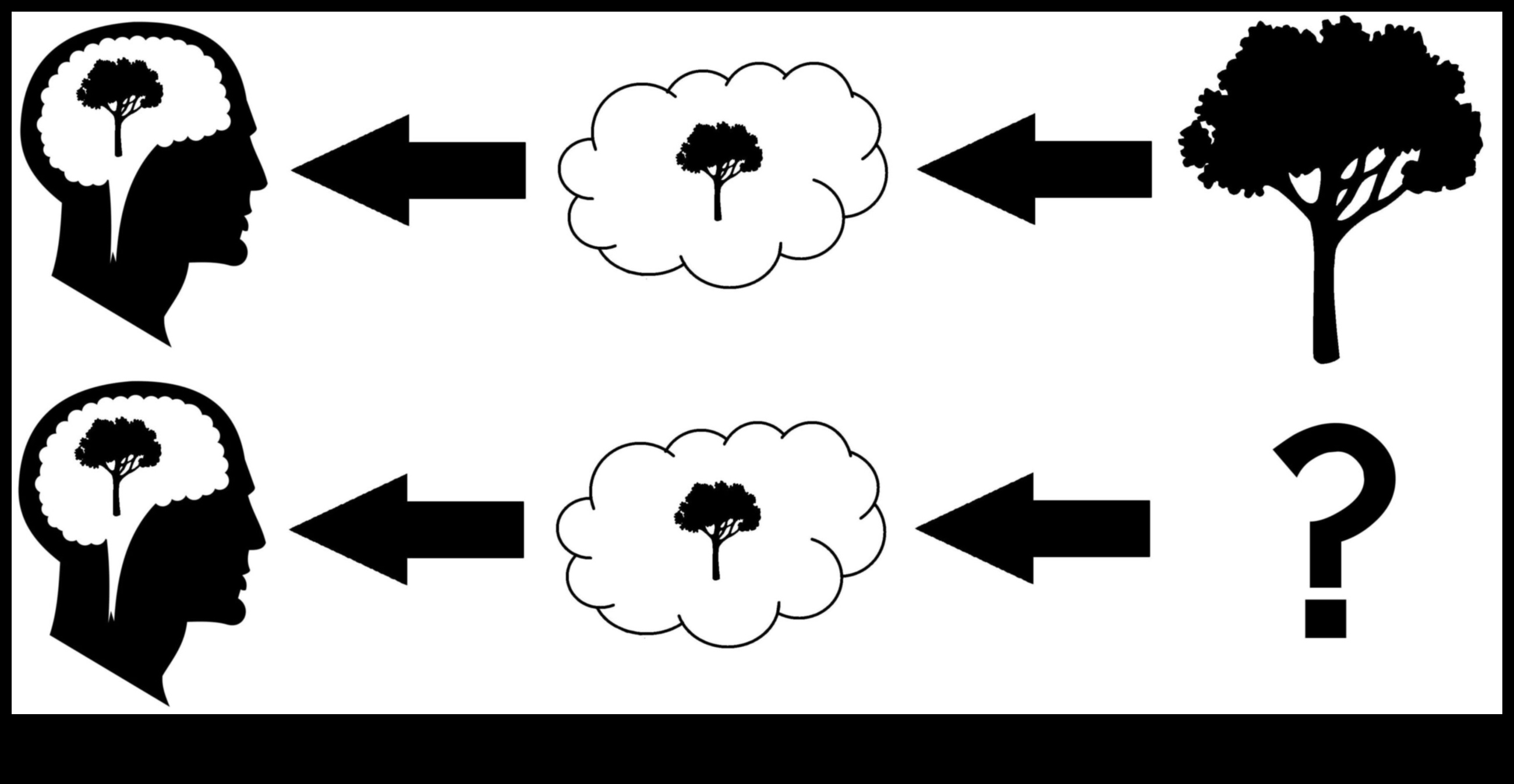 Visual Veracity: Realism's Impact on Viewer Perception