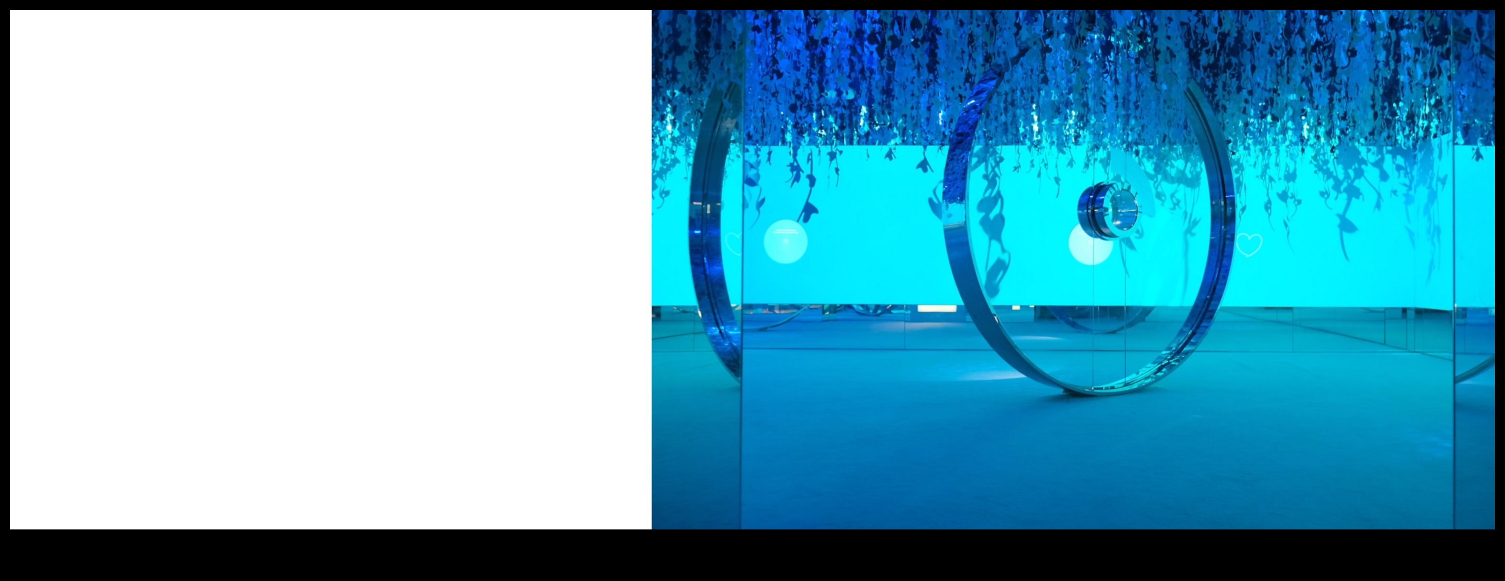 Visual Virtuosity: Achieving Artistic Excellence in Image Enhancement