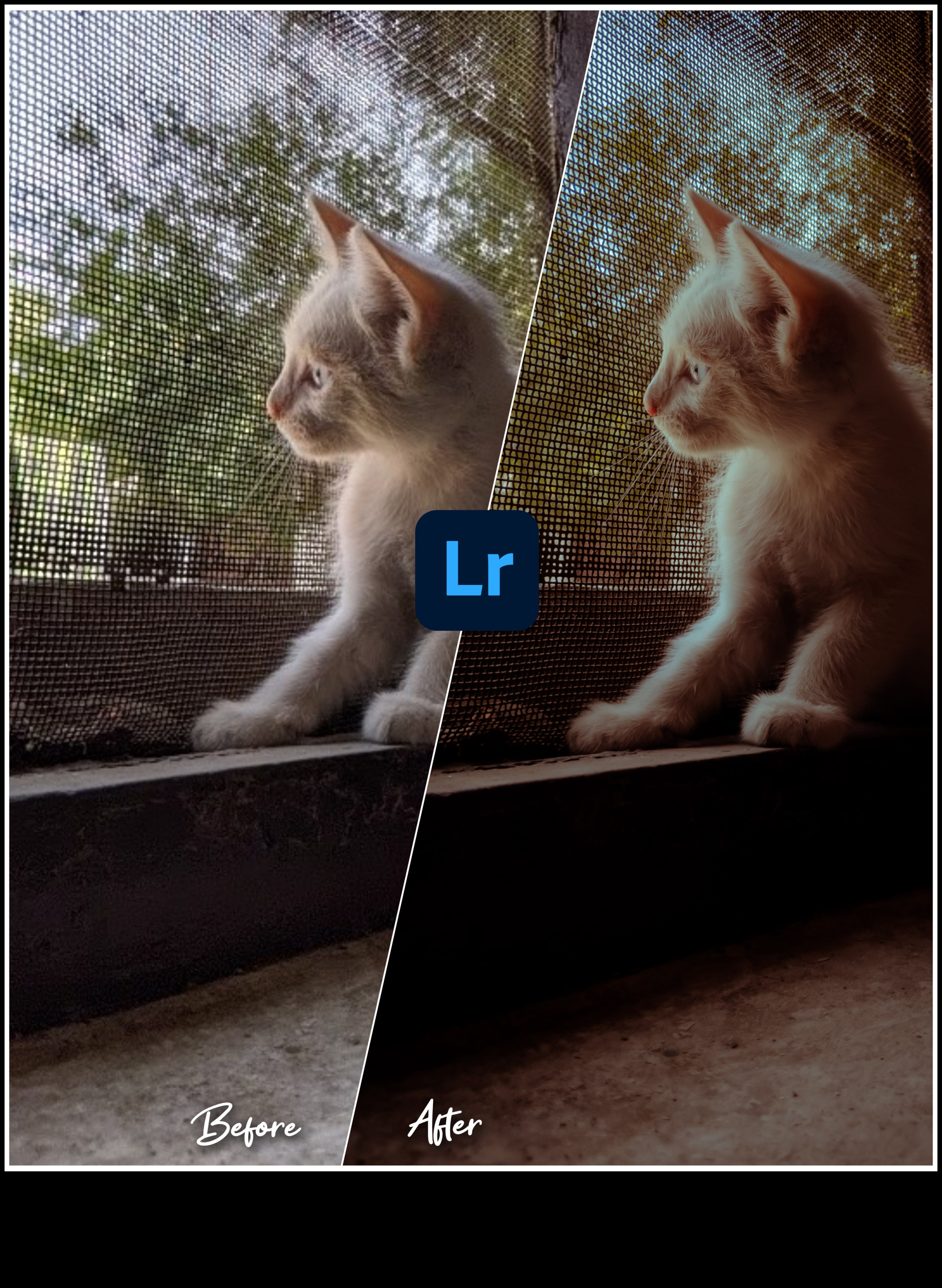 Visual Virtuoso Transforming Ordinary Shots into Extraordinary Art 1 Visual Virtuoso: Transforming Ordinary Shots into Extraordinary Art